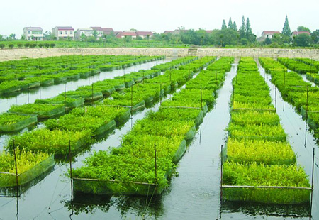 山西出臺農業水價綜合改革精準補貼和節水獎勵辦法
