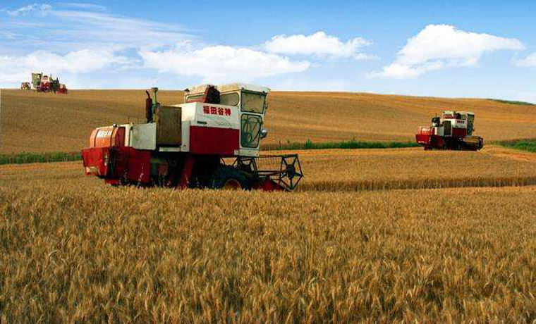 五年來，糧食年產量穩定在一點三萬億斤以上