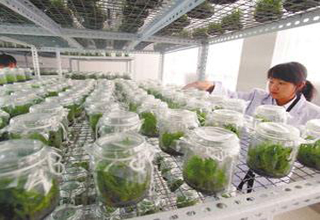 生物醫藥和大健康產業成為云南省支柱產業
