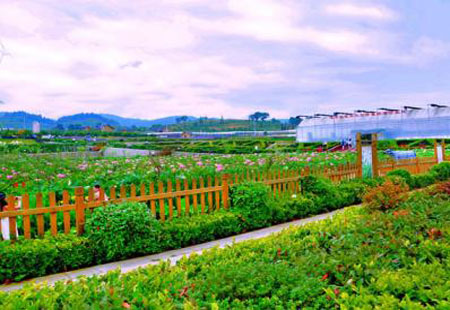 農業部推動休閑農業和鄉村旅游發展