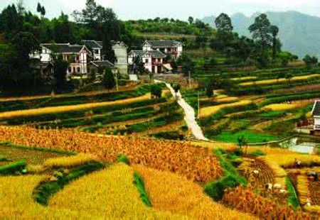 未來三年 貴州重點發展十大類綠色農產品