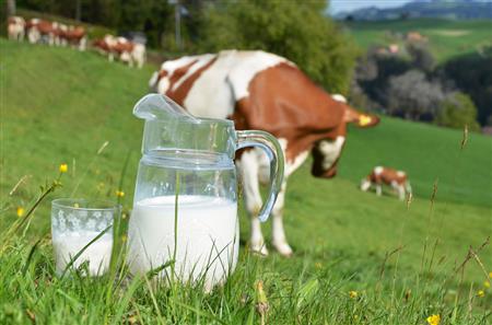 奶粉新政倒逼海外并購加速 乳業國際化或掀第二輪高潮