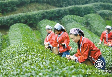 福建農業供給側改革：向“綠色”要動能