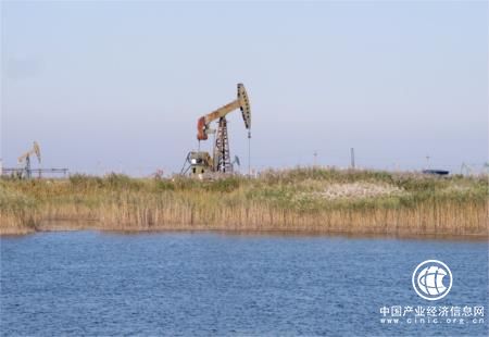 全域旅游助力山東東營旅游跨越發展