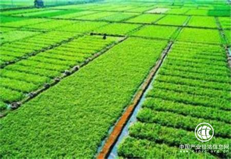 河南省劃定永久基本農田面積超1億畝