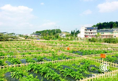 貴安新區：把知行合一，綠色發展踐行到底