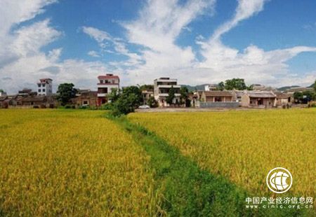 廣東推動鄉村旅游提檔升級 為全域旅游添彩