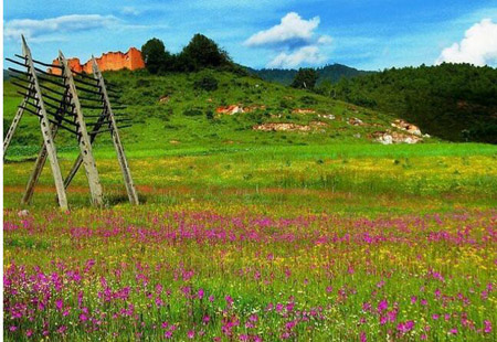 云南加快推進旅游業轉型升級