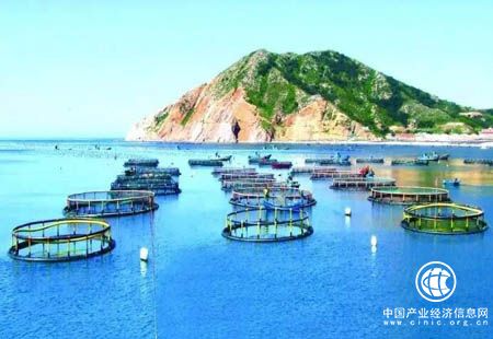 山東將重點實施海洋強省標準創新工程