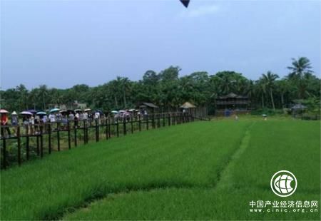 海南發展共享農莊打造促農增收新業態