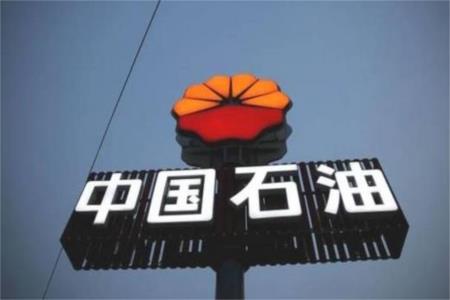 胸懷國之大者 心系服務民生 --中國石油全力穩經濟保生產綜述