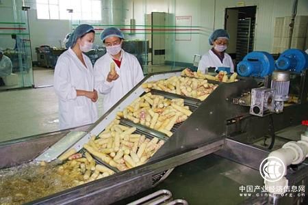 聚焦農產品加工業：蔬菜加工何時告別“洗剪吹”？