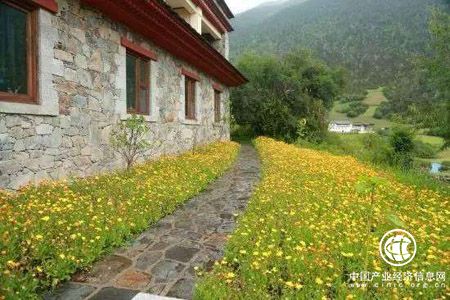 云南特色民宿客棧進入洗牌期 半年減少2910家