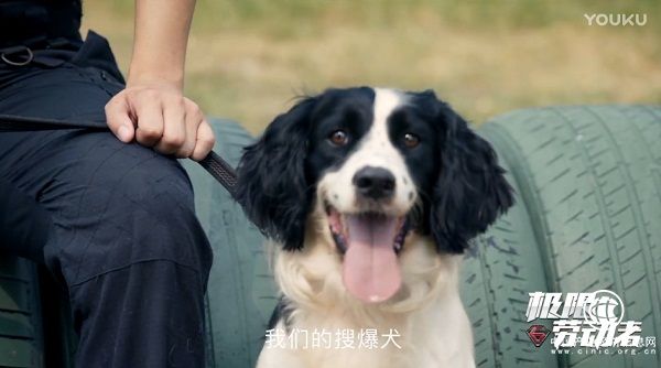 關注普通勞動者、感受社會正能量 優酷《極限勞動者》紀錄片獲官媒點贊