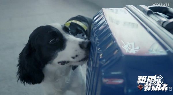 關注普通勞動者、感受社會正能量 優酷《極限勞動者》紀錄片獲官媒點贊