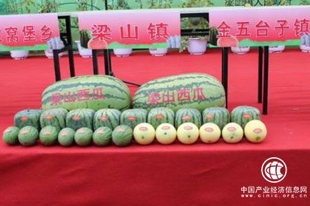 遼寧沈陽出臺打造十大農業品牌實施方案