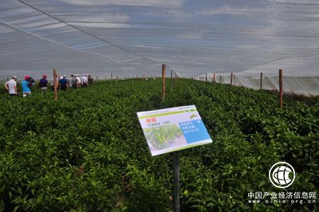 內蒙古富硒耕地開發示范基地建設成效顯現