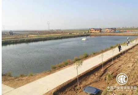 甘肅景泰鹽堿地發展漁農業 變廢為寶修復生態