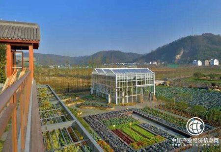 農業特色小鎮在全國范圍迅速發酵 統籌發展模式添助力