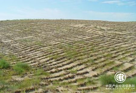 陜西全力推進荒漠化綜合防治