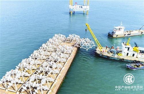 我國已建成國家級海洋牧場示范區42個