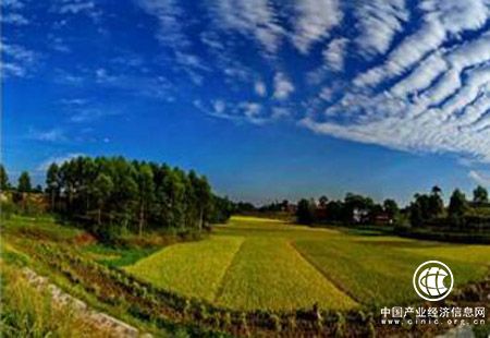 重慶江津區富硒綠色產業上半年產值達29億元