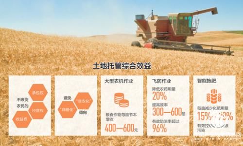 山東產糧大縣的土地托管調查:誰來種地？