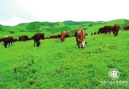 云南：全力提升高原特色農業現代化發展水平