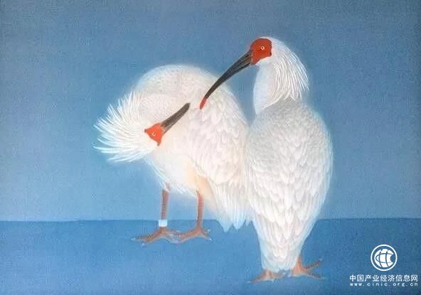 “朱鹮藝術館”滬上揭牌：畫布上的愛情鳥