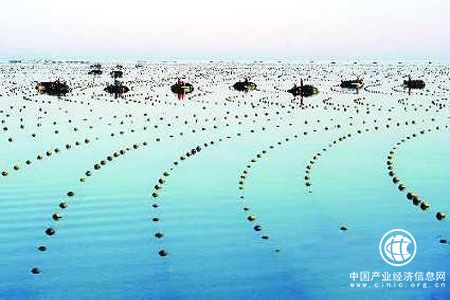 多方協同推進，我國海洋產業集聚發展格局初步顯現