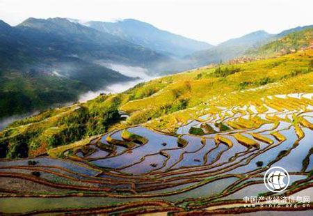 五大業態齊頭并進 貴州走出山地貧困地區脫貧致富新路