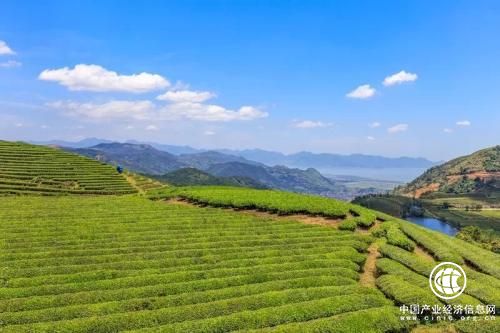 農業部：加快建立貧困地區農業綠色開發機制