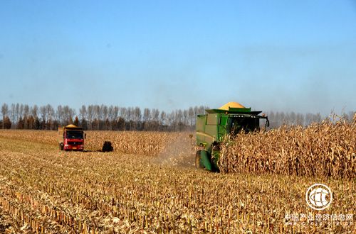 河南省秋收基本結束 麥播即將全面展開