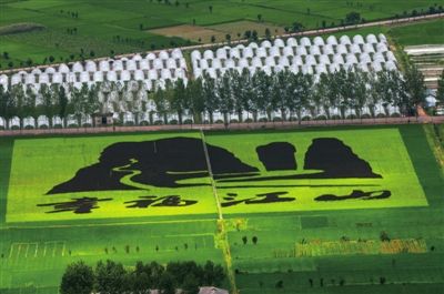 2022年全國休閑農業重點縣名單公布 60個縣（市、區）入選