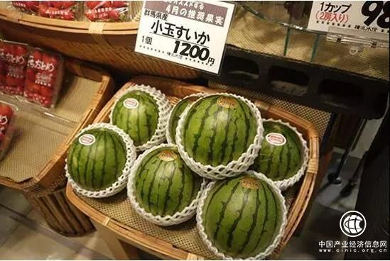 中普臧延斌：穩抓機會，將讓你種豆得瓜