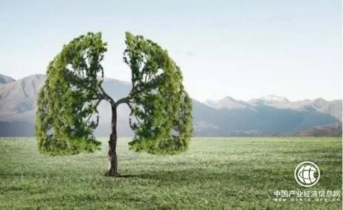 錯過了冬病夏治，藥墨讓你緊抓秋季養肺