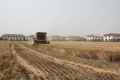 內蒙古深化改革提高土地利用效率