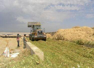 2023年新疆超額完成糧改飼任務