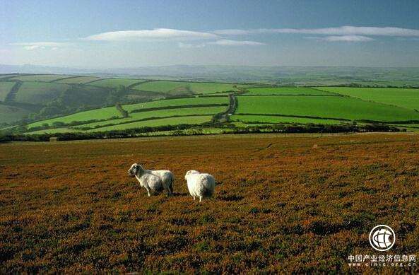 土地管理業新增為《國民經濟行業分類》行業大類