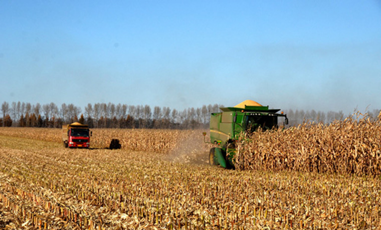 黑龍江“衛星導航＋大農機”改變傳統秋收方式