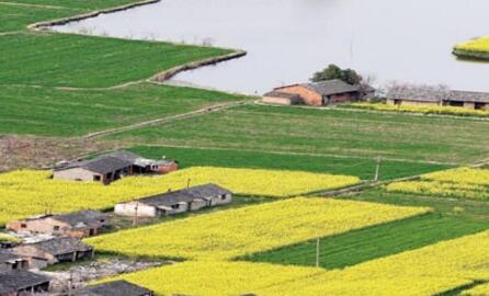 四部門聯合浙江開展農用地土壤污染狀況詳查工作