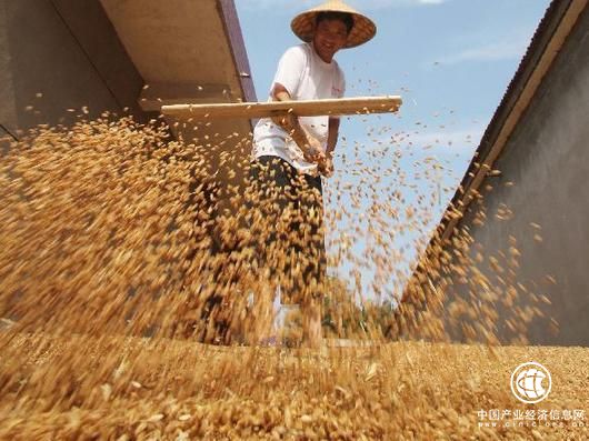 國家發改委12年首次下調小麥最低收購價格