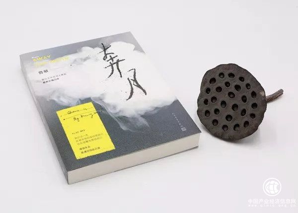 我失迷霧君失我——魯敏小說：奔月 | 星期天文學