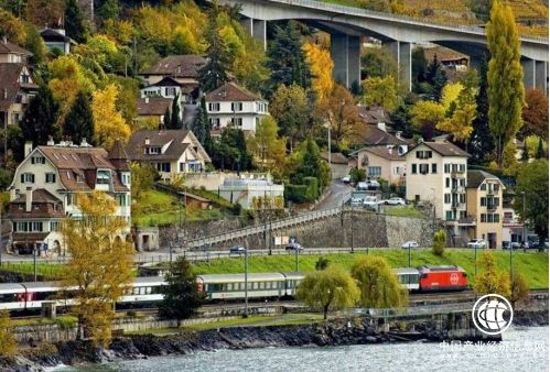 韋杰：我們需要把壓抑的感性思維釋放出來去創造美