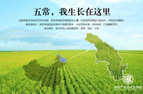 黑龍江五常：大米“神話”背后的供給側發力