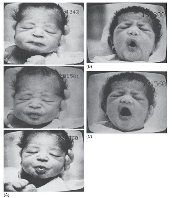 為什么只有“油膩”會讓人反感？