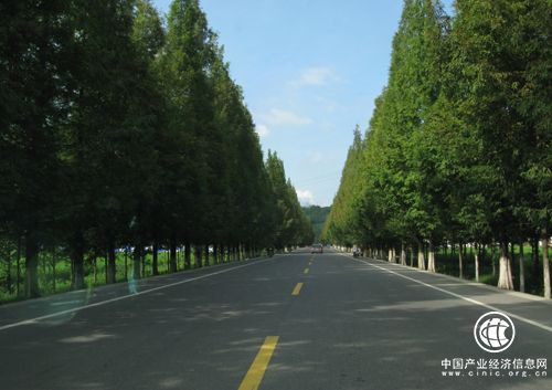 江西：1.2萬公里農村公路改造助力鄉村振興