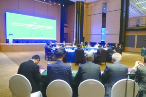 上海化工區咨詢國際專家