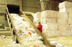 廢紙漲身價 紙業理順循環經濟正當時