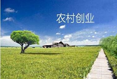 我國農村創業創新人員已達700萬人